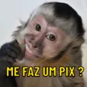 Figurinha