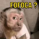 Figurinha