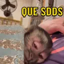 Figurinha