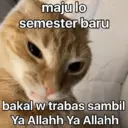 Límmiði