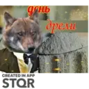Стикер