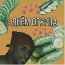 Стикер