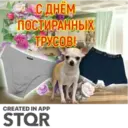 Стикер