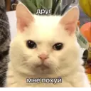 Стикер