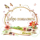 স্টিকার