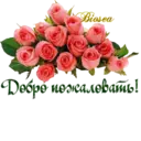 স্টিকার