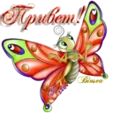 স্টিকার