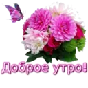 স্টিকার