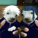 Samolepka