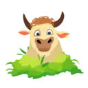 Nhãn dán
