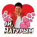 Stika