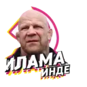Stika
