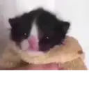 Çıkartma