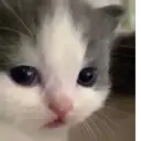 Çıkartma