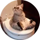 Կպչուն պիտակ