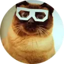 Կպչուն պիտակ