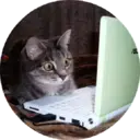 Կպչուն պիտակ