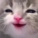 ملصق