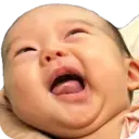 贴纸