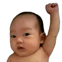 贴纸