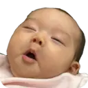 贴纸
