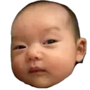 贴纸