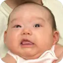 贴纸