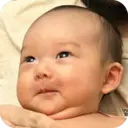 贴纸