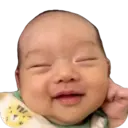 贴纸