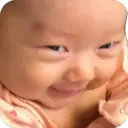贴纸