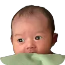 贴纸