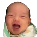 贴纸