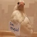 Стикер