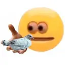 Стикер