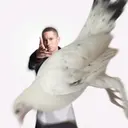 Стикер
