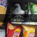 Стикер