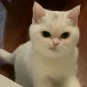 스티커
