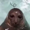 Figurinha