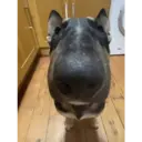 Figurinha