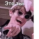 Կպչուն պիտակ