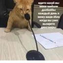 Naklejka