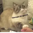 Naklejka