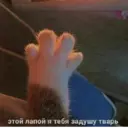 اسٹیکر