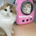 اسٹیکر