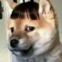 Կպչուն պիտակ