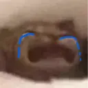 Կպչուն պիտակ