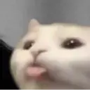 Կպչուն պիտակ