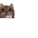 Adhesiu
