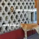 Çıkartma