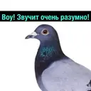 ملصق